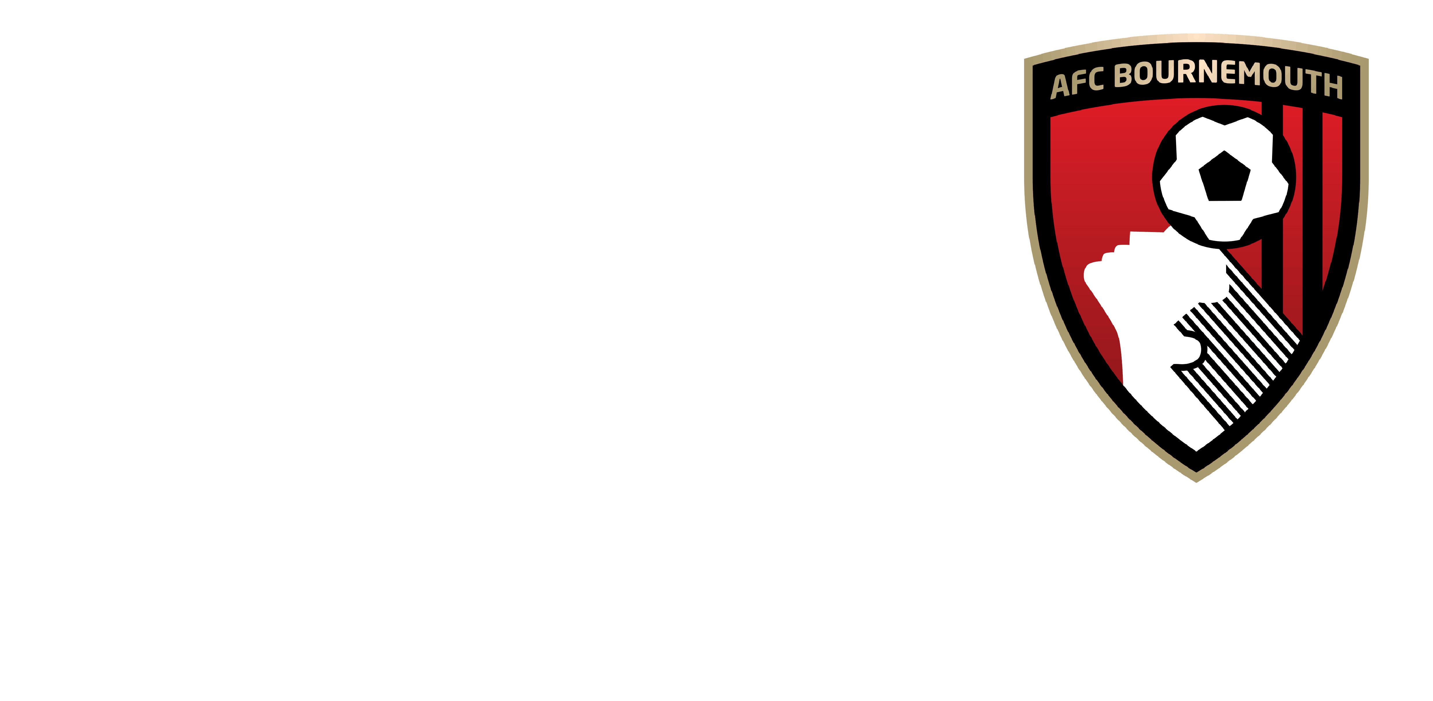 Chery Logo