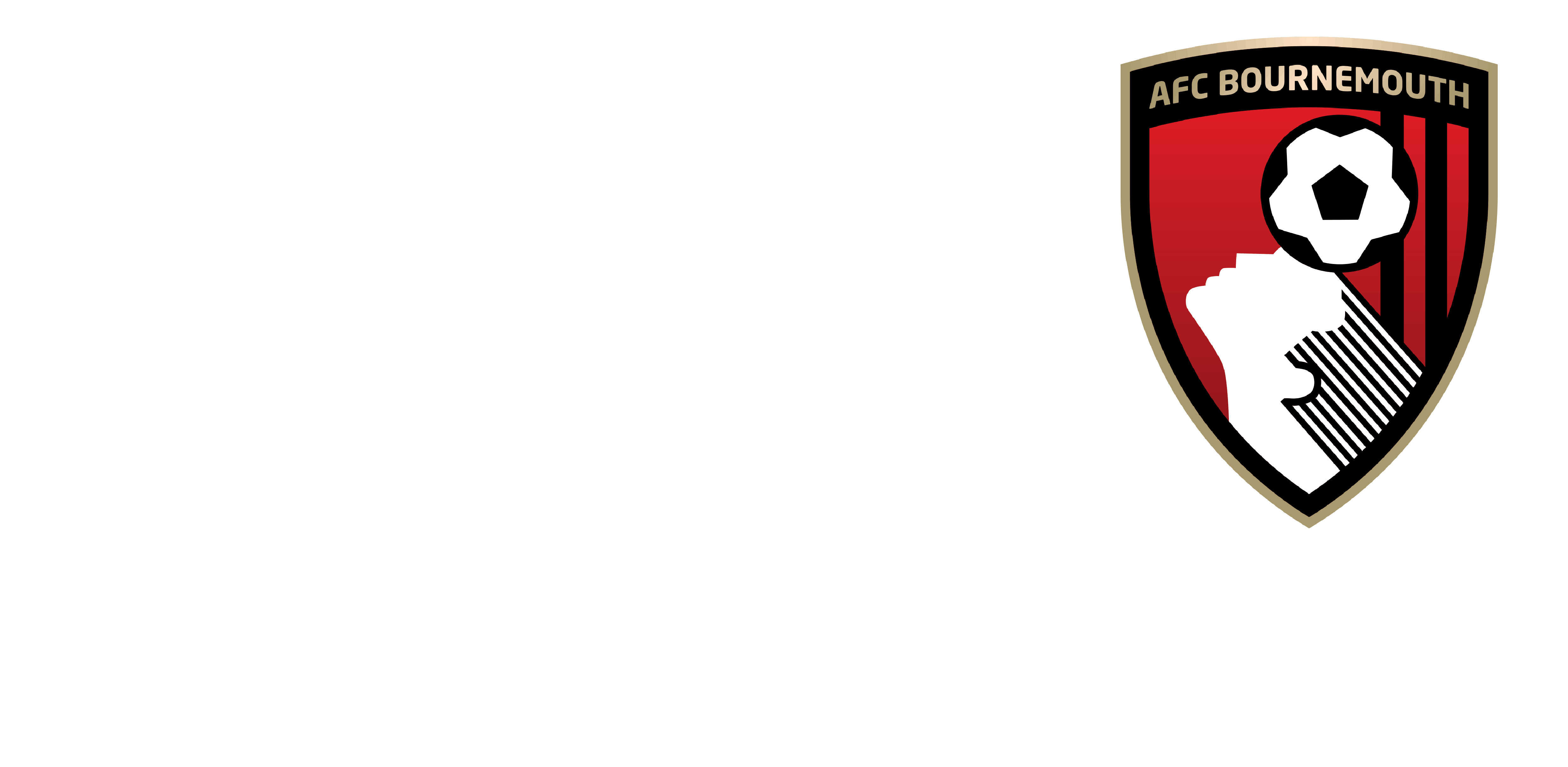 AFC Bournemouth and Chery Logo